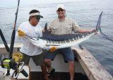Nice Striped Marlin